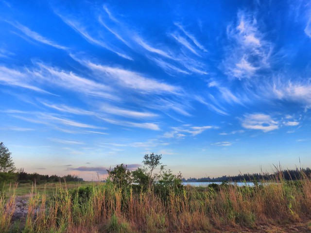 West Miramar Water Conservation Area HDR 20150530