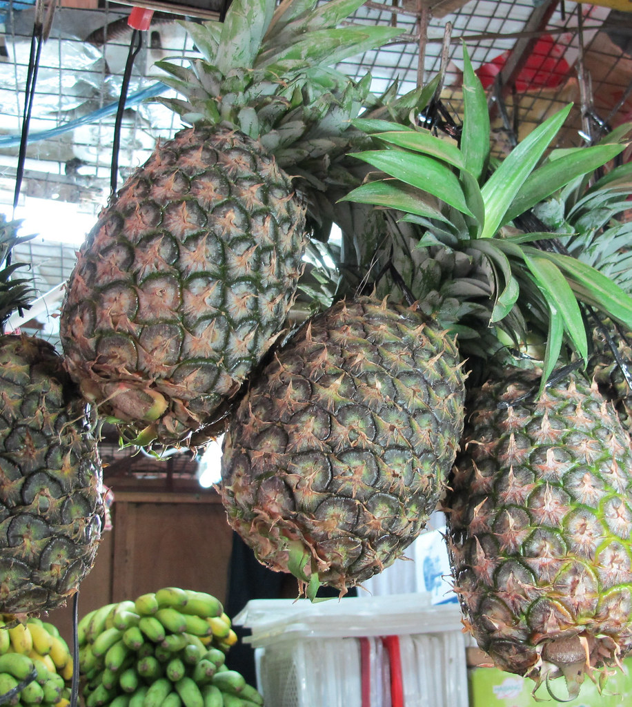 pinya | Ang pinyá (Ananas comosus) ay isang halamang prutas … | Flickr