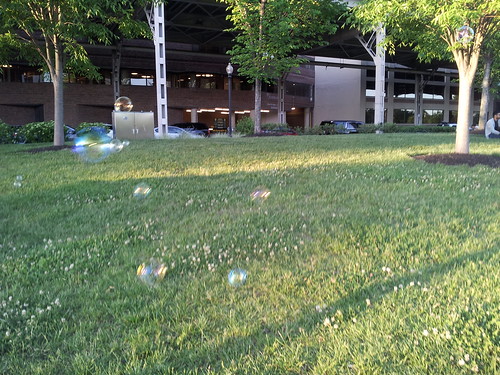 Bubbles at Georgetown Waterfront Park