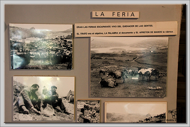 Museo Etnográfico Piedad Isla  (9)