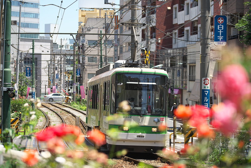 Tokyo Train Story 都電荒川線 2015年5月30日