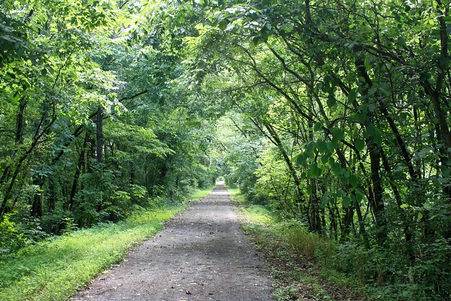 The Wilderness Road itself at Wilderness Road State Park in SW Virginia