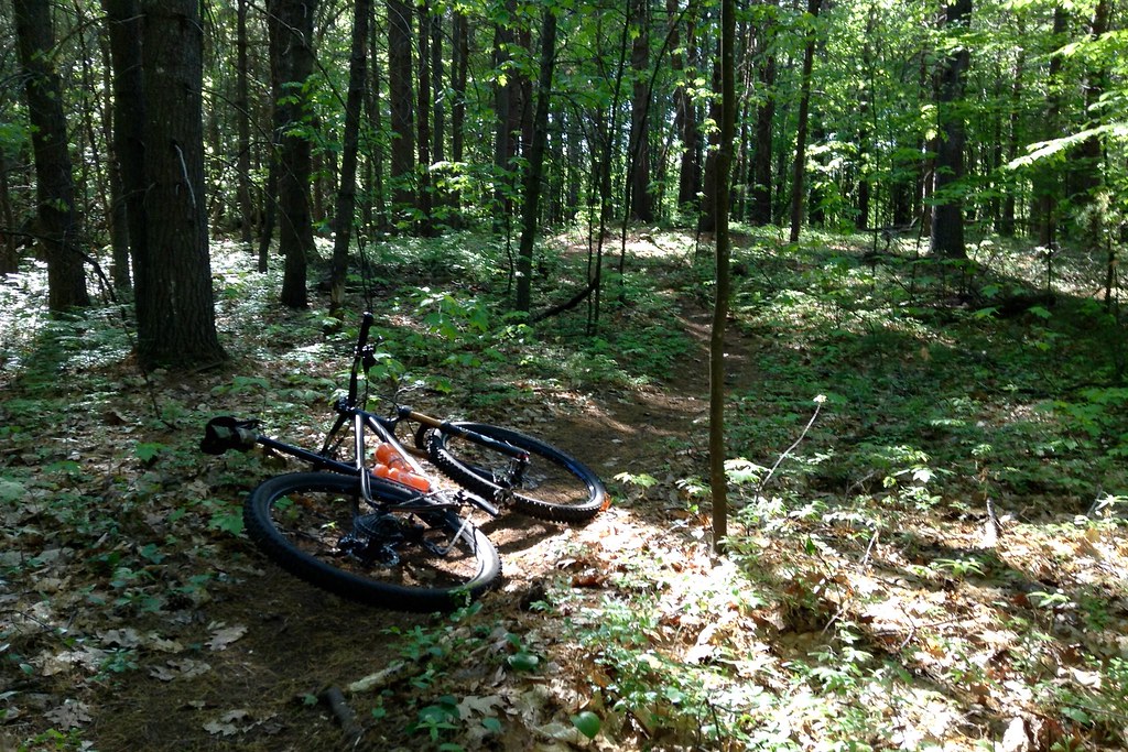 This is Single Track