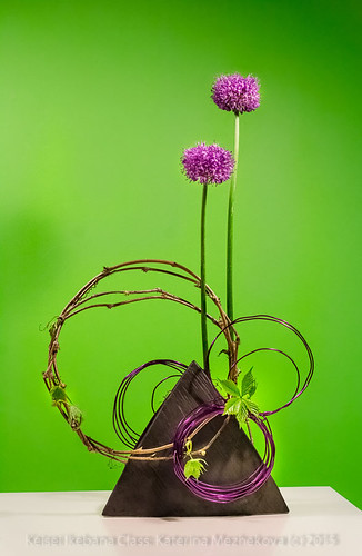 Curved and straight lines ikebana