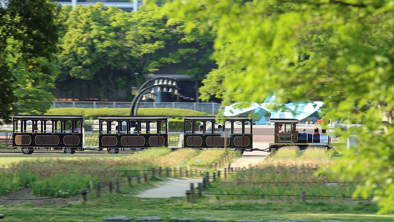 Expo '70 Park 2015.5.8 (7) Mori-no-train