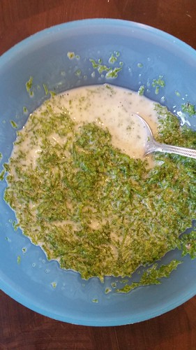 Yogurt Moss Mixture