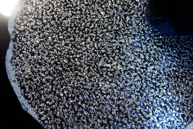 Air bubbles in thin ice core slice。圖片來源：CSIRO Australian Antarctic Division