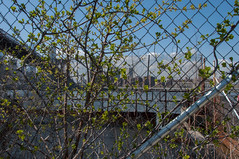 Brooklyn Bridge Park et al - May 2015
