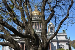 Isaakievskiy Cathedral (St Petersburg, Russia 2015)