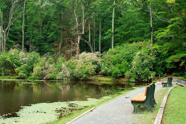 Peace place on Rock Spring Pond at Westmoreland State Park in Virginia