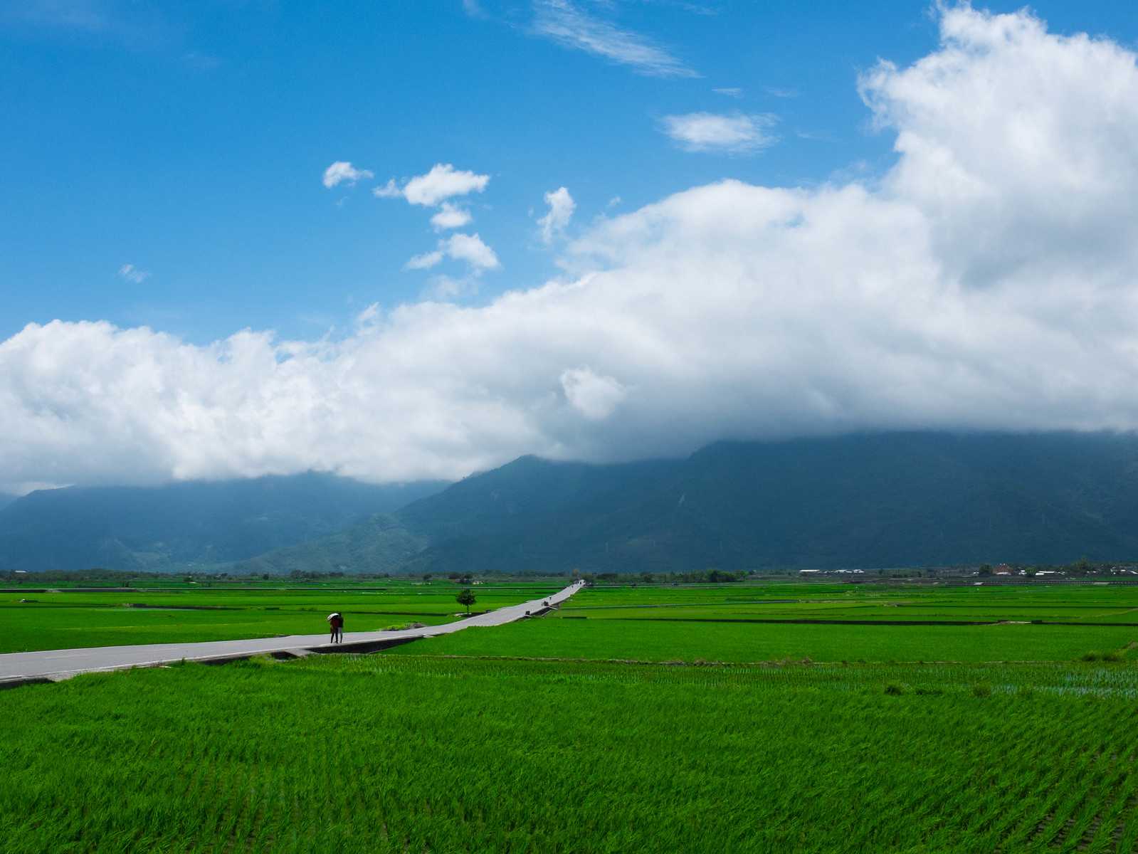 Si decides hacer turismo en Taiwán, sus paisajes no te decepcionarán