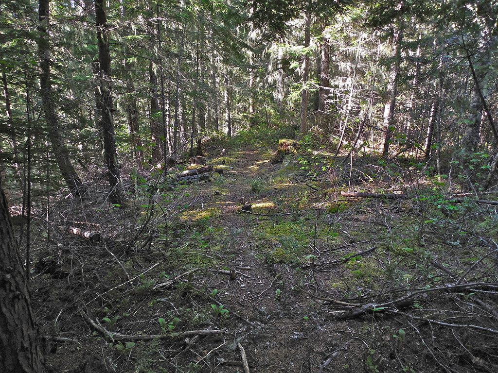 Anne Creek trail