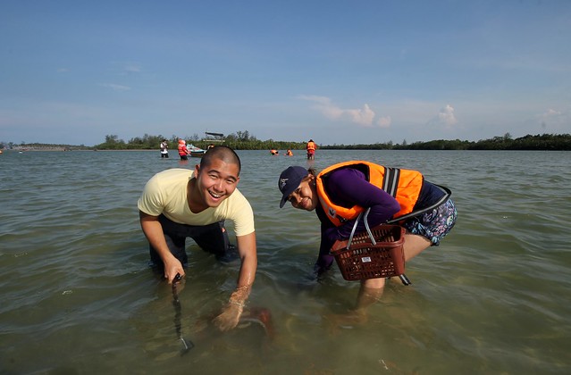 Clam Digging in Setiu, Terengganu