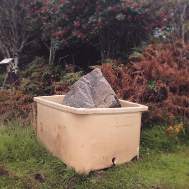 Naughty rocks get out in the bucket of shame.  Rusty boat  Arisaig, Inner Hebrides  #innerhebrides #Scotland #scottishscenery #Scottishhighlands #arisaig