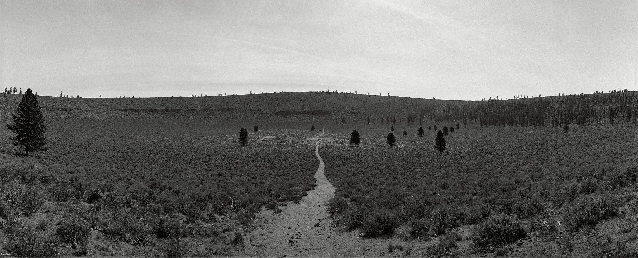 Path, Oregon | by austin granger