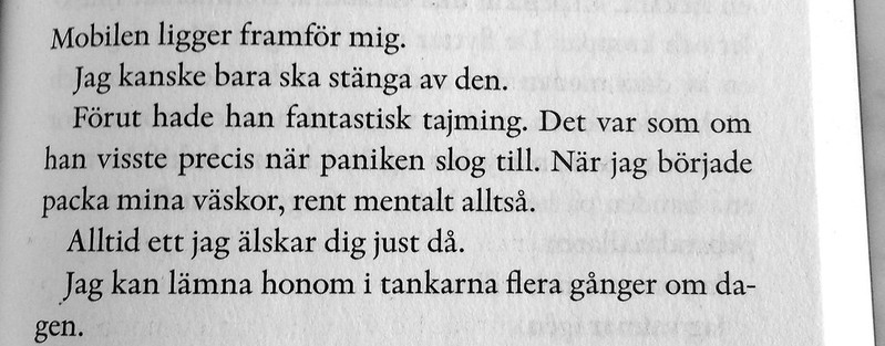 flickvännen + den vita staden. by karolina ramqvist.