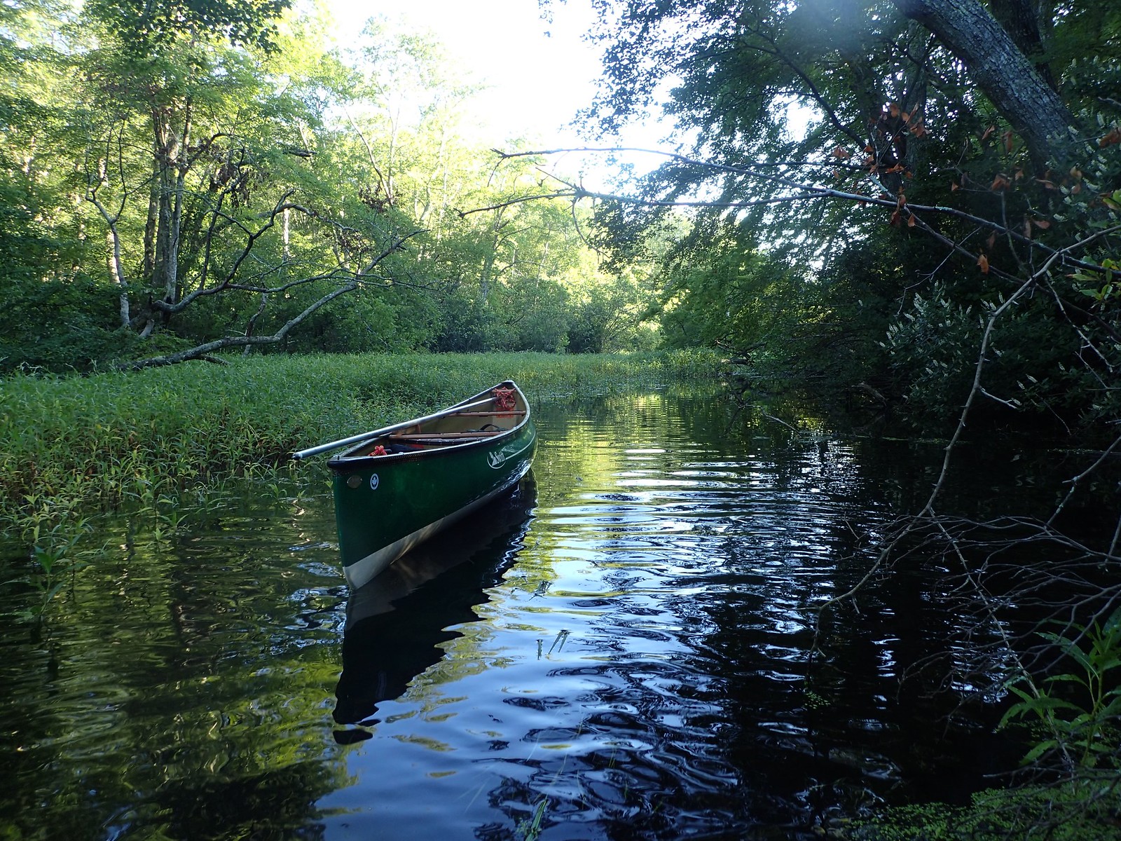 A morning's paddle Upper Yaphank Lake, Long Island, NY Bushcraft