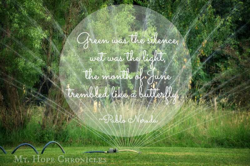 Green @ Mt. Hope Chronicles