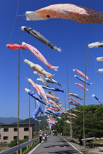 Takatokigawa Koinobori Festival (1)