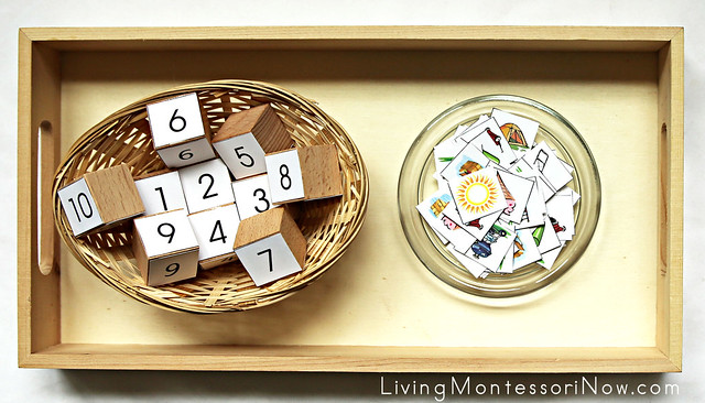 Summer Numbers and Counters Tray