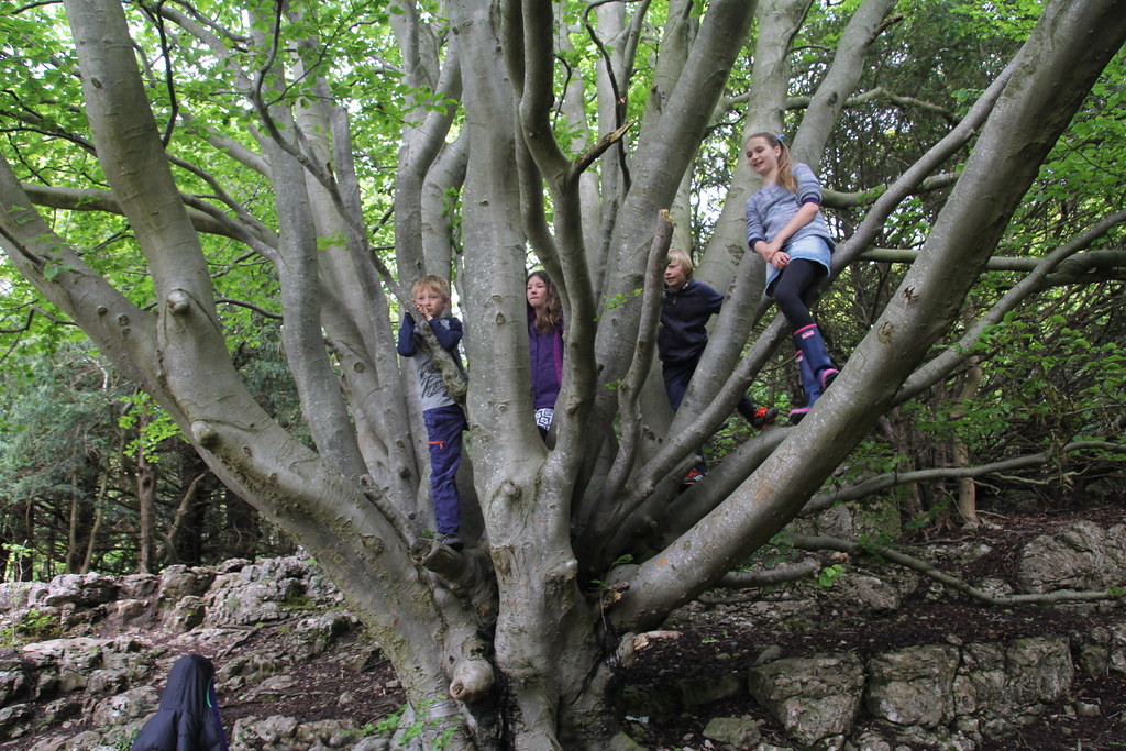 silverdale, woodwell, caves, the lots, roa island piel island, peel island, birkrigg common, pepper pot, eaves wood