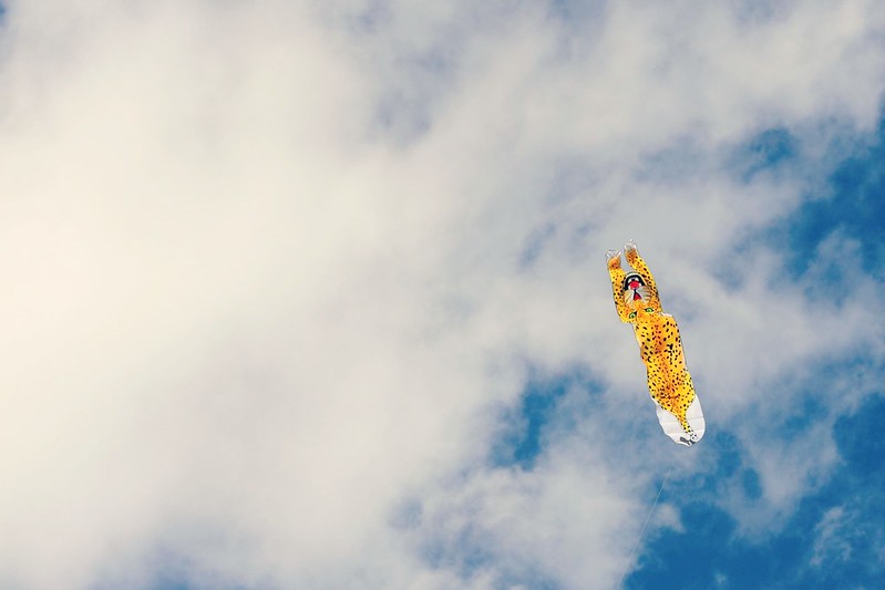 Tiger Kite in the Sky