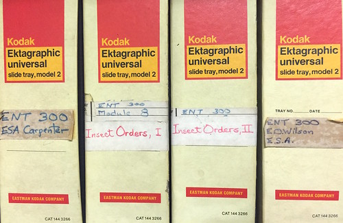 4 upright boxes, each containing a 35mm slide carousel