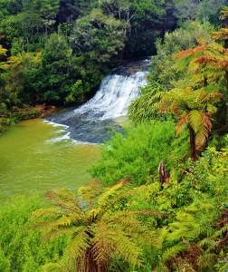 Reakohua Falls