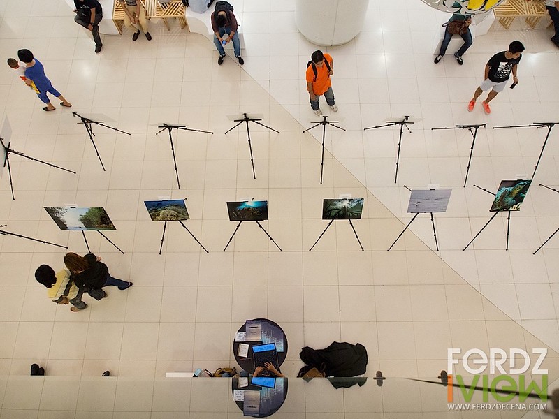 Top view of the exhibit area at Eastwood Mall