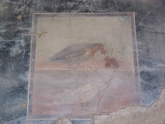 Herculaneum  - casa del gran portale, bird with cherries