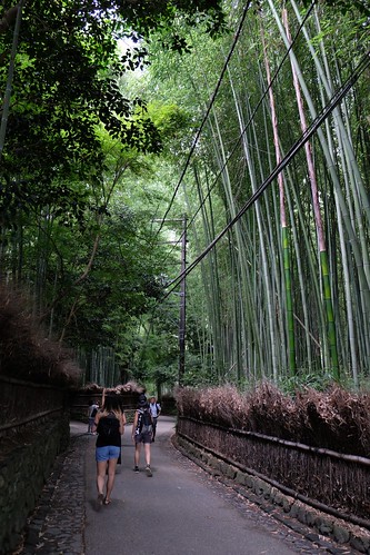 嵯峨嵐山から竹林の小径を歩く