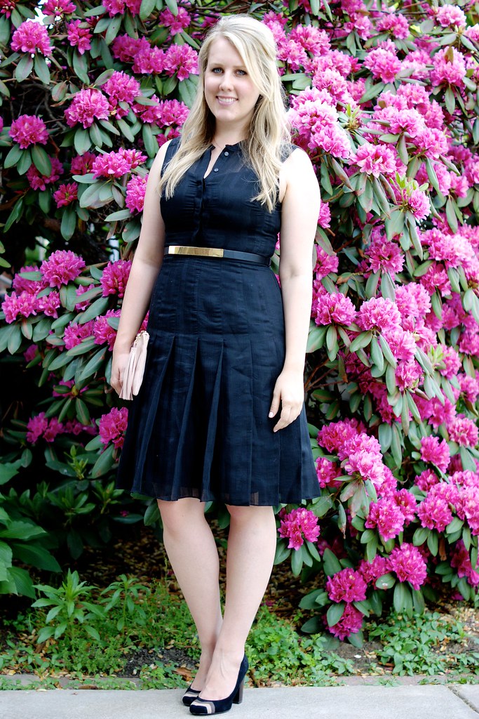 black fit and flare dress with gold accessories 