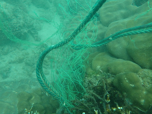 南灣海底裡的廢棄漁網，圖片提供：環保署。