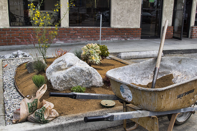 Drought-resistant landscaping