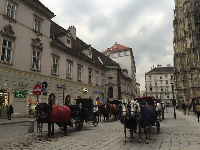 horse carriages